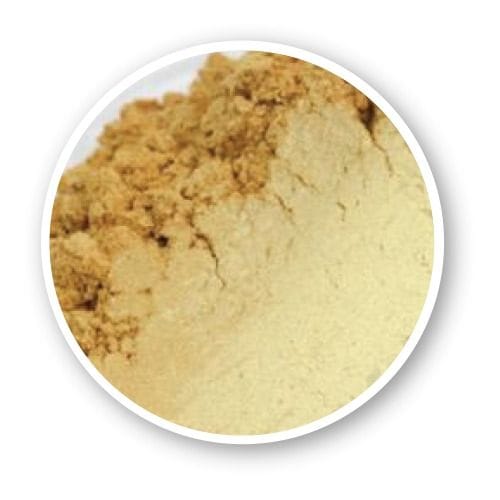 WhatsApp Image 2025-03-28 at 5.21.59 PM (4).jpeg